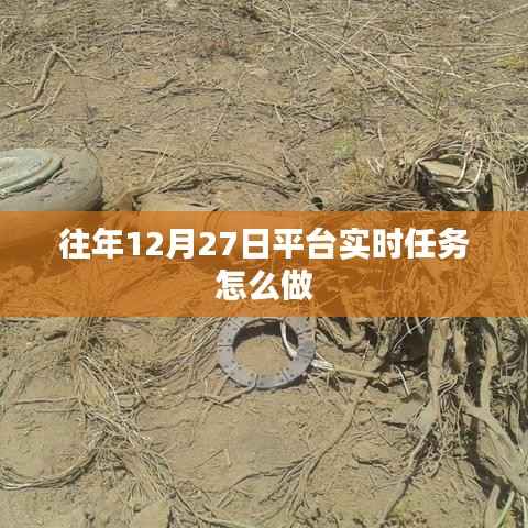 平臺實時任務攻略，往年12月27日任務操作指南