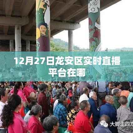 龍安區(qū)實時直播平臺地址，最新活動直播觀看指南