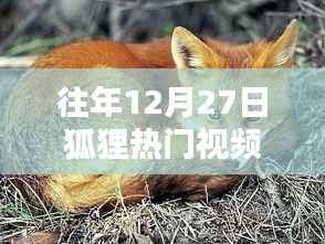 狐貍熱門視頻回顧與解析，往年12月27日精彩瞬間