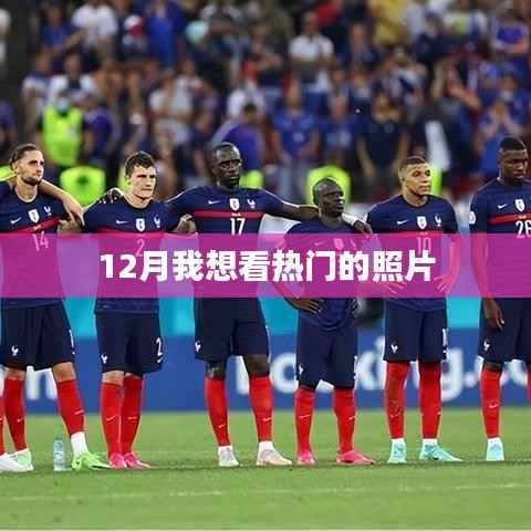 精選熱門照片，不容錯過！十二月攝影盛宴