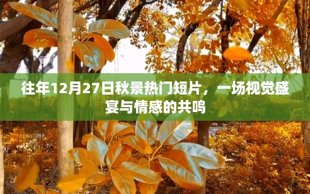 往年秋景盛宴短片，視覺與情感的共鳴