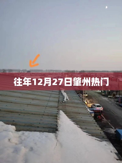 肇州12月27日熱點活動回顧