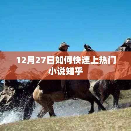 如何在12月27日迅速成為熱門小說(shuō)焦點(diǎn)？知乎攻略