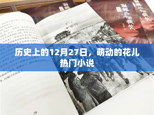 12月27日萌動小說盛宴，花兒熱門小說盤點