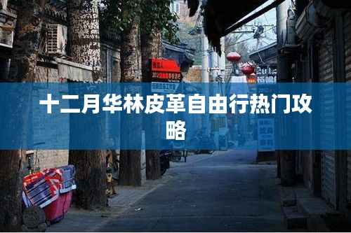 十二月華林皮革自由行指南