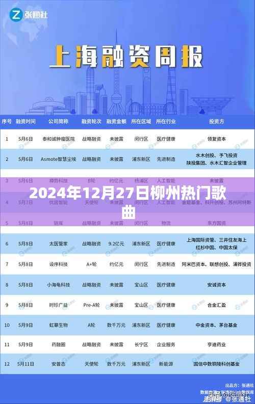 柳州熱門歌曲榜單（2024年12月27日）