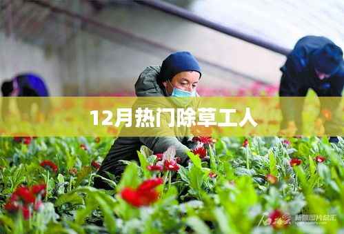 冬季除草工人，12月除草熱潮來襲