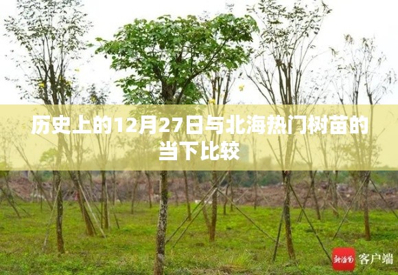 北海樹苗當(dāng)下與歷史上的12月27日對比