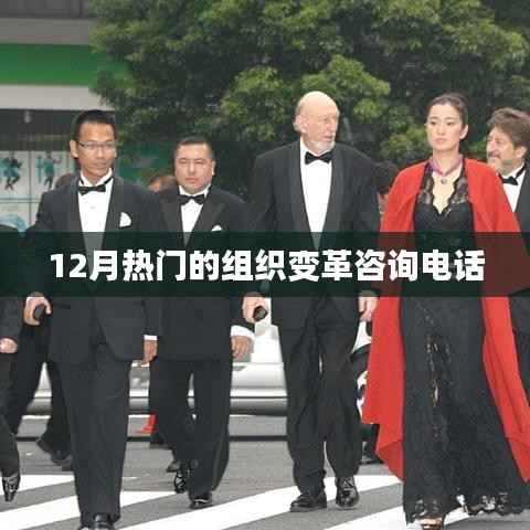 組織變革咨詢熱線，把握變革機遇，助力企業(yè)成長