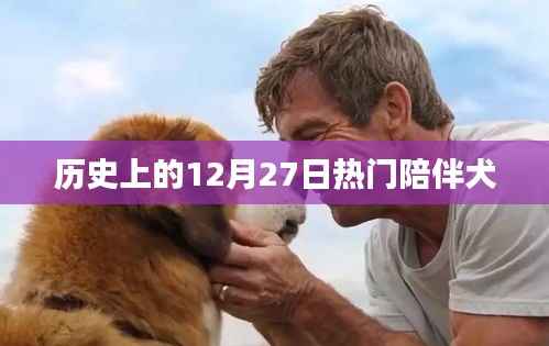 歷史上的熱門陪伴犬，犬類陪伴的溫馨記憶