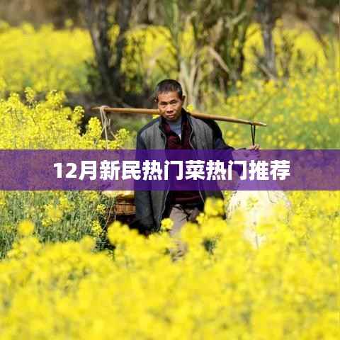 新民十二月熱門美食推薦