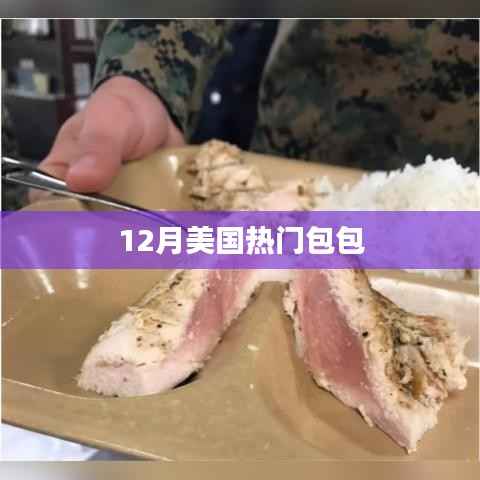 美國12月流行包包盤點