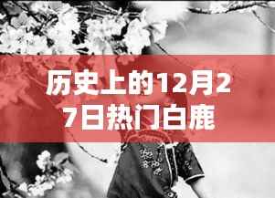 白鹿歷史，揭秘十二月二十七日的熱門事件