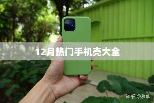 12月最火手機(jī)殼盤點(diǎn)