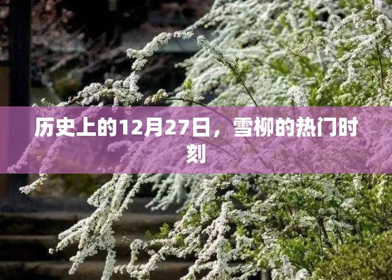 雪柳熱門時刻，歷史上的12月27日紀念