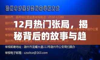 揭秘，張局背后的故事與趨勢，十二月熱門熱點解析