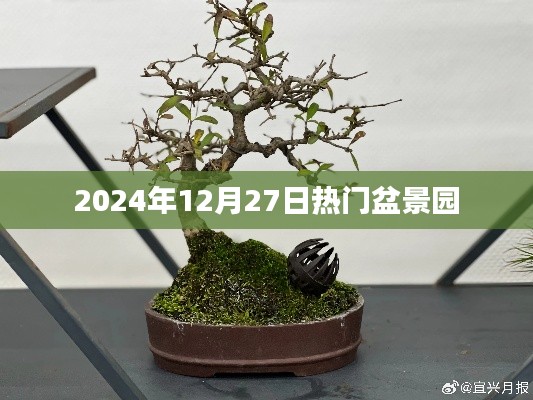 盆景園熱門景點介紹，探訪2024年12月27日必游盆景園
