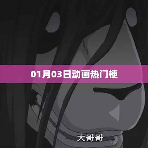 熱門動(dòng)畫梗大盤點(diǎn)，精選01月03日最新流行梗