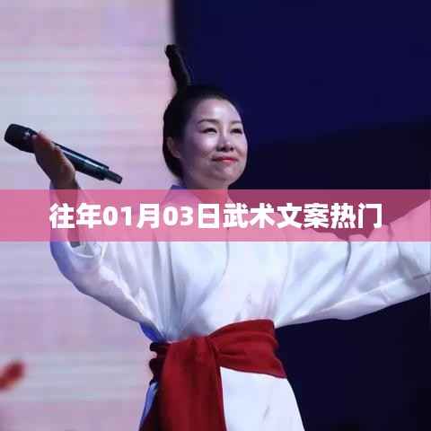 武術(shù)文化魅力揭秘，歷年熱門文案回顧