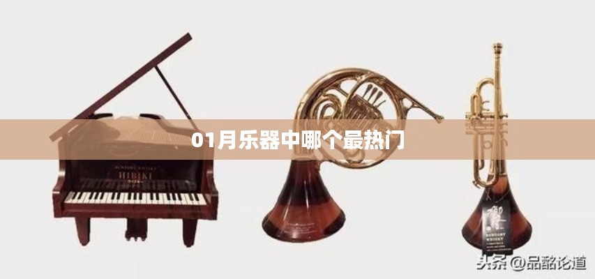 樂器熱門排行榜，一月熱門樂器揭曉