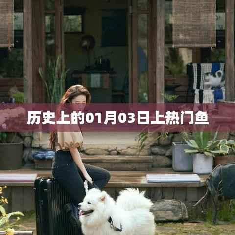歷史上的大事件，一月三日熱門魚揭曉
