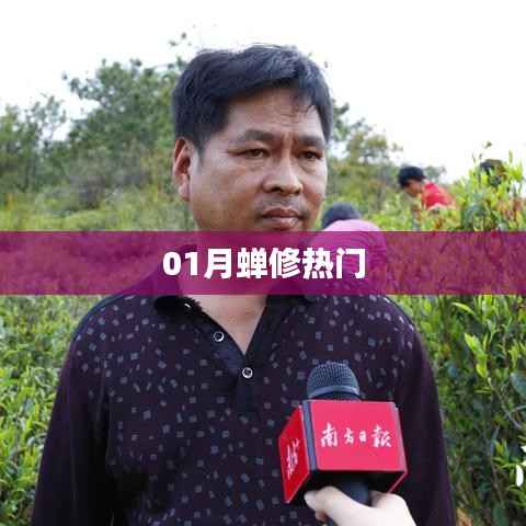 一月蟬修大熱，修煉指南助你入門！