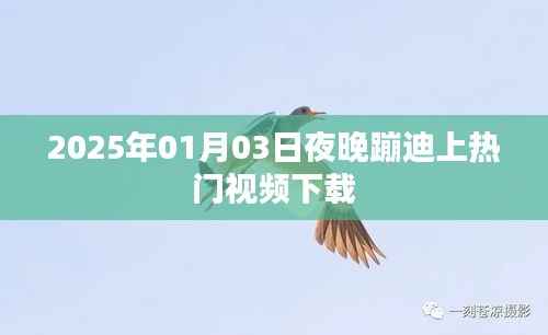 熱門蹦迪視頻下載，跨年狂歡夜舞風(fēng)潮
