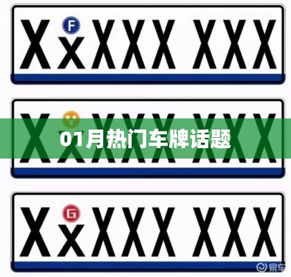 熱門車牌話題熱議不斷