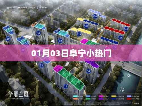 阜寧小熱門資訊，最新消息速遞