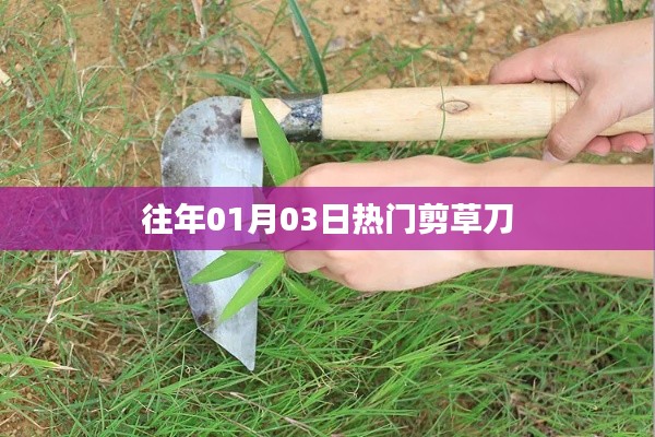 歷年一月初熱門剪草刀推薦