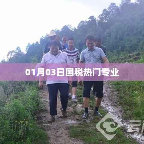 國(guó)稅熱門專業(yè)解析，專業(yè)趨勢(shì)與就業(yè)前景