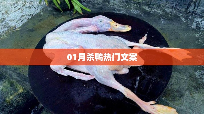 一月殺鴨狂歡文案