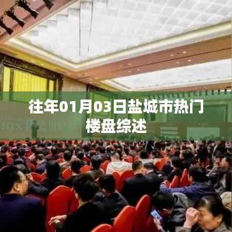 鹽城市熱門樓盤綜述，歷年一月初的樓市熱點(diǎn)解析