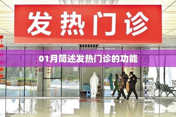 一月發(fā)熱門診功能簡述