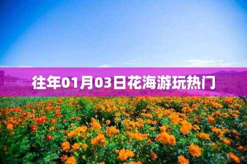 花海游玩熱門榜單揭曉，不容錯過的盛景盛事！