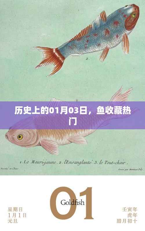 歷史上的今天，一月三日魚(yú)收藏?zé)衢T事件回顧