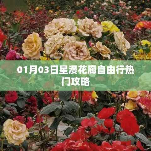 星漫花廊自由行指南，熱門攻略一網(wǎng)打盡