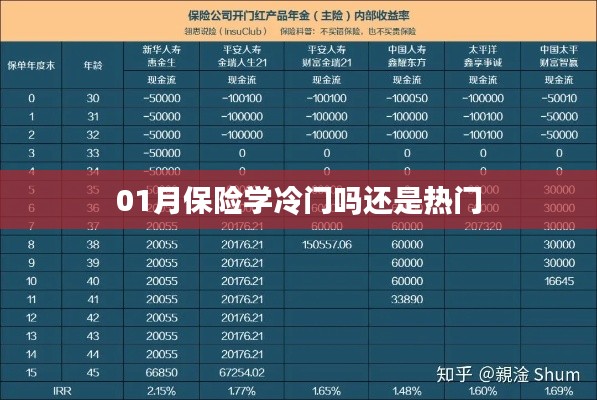 保險學(xué)是冷門還是熱門專業(yè)？深度解析