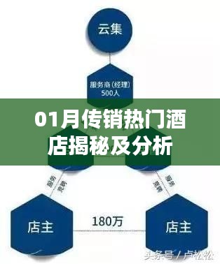 揭秘分析，一月傳銷活動(dòng)熱門(mén)酒店