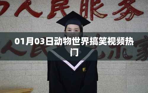 動(dòng)物世界搞笑視頻盤(pán)點(diǎn)，熱門(mén)笑料一網(wǎng)打盡