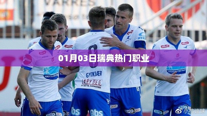 瑞典熱門(mén)職業(yè)列表揭曉，最新職業(yè)排名及趨勢(shì)分析