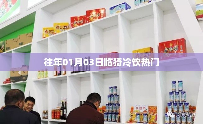 臨猗冷飲元旦佳節(jié)人氣飆升