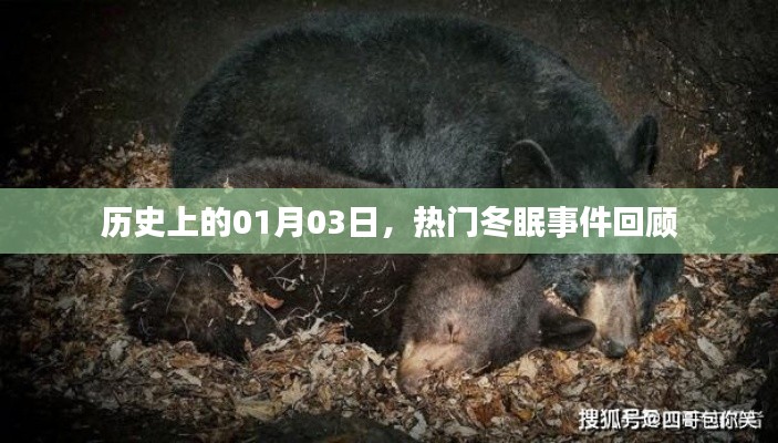 熱門冬眠事件回顧，歷史上的那些日子（聚焦一月三日）