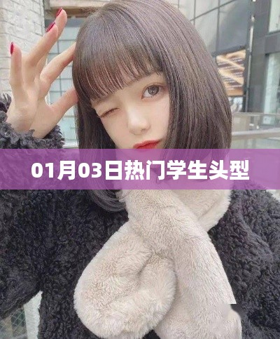 熱門學(xué)生發(fā)型潮流，01月03日時尚頭型推薦