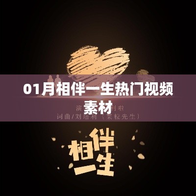 相伴一生熱門視頻素材，精選優(yōu)質(zhì)內(nèi)容分享