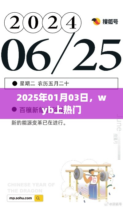 Wyb在2025年1月3日登上熱搜