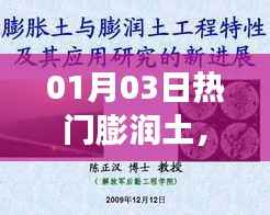 膨潤土應用特性及發(fā)展動態(tài)，最新熱門資訊，深度解析