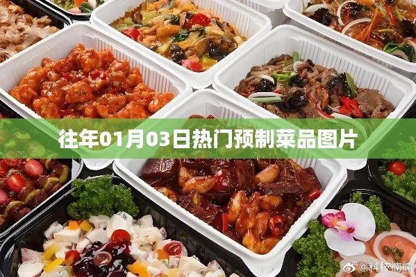 精選預(yù)制菜品圖片，回顧歷年熱門美食瞬間
