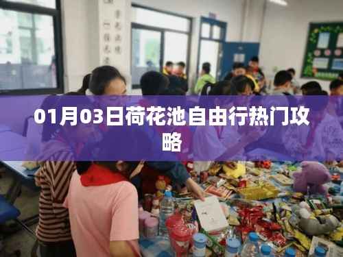 荷花池自由行攻略，熱門景點一日游