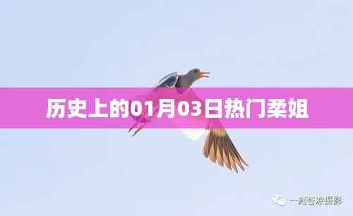 熱門柔姐，歷史上的重要時刻回顧